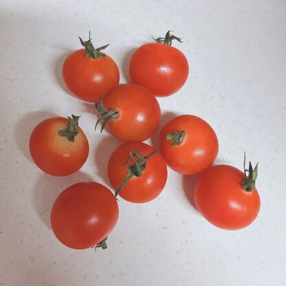 こんにちは♪レポありがとう♡
母が畑で収穫したプチトマトを保存したよ〜！今年は出来が良くて市販のよりも美味しい(*˙˘˙*)ஐ
ボーロ手作りとかもう尊敬❁¨̮